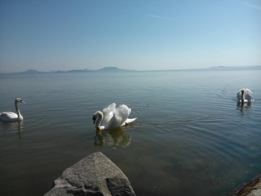 Apartamento Angéla Ház Balatonberény Habitación foto